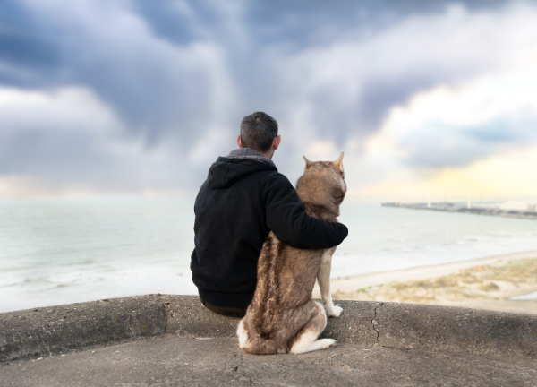shooting-chien-dos